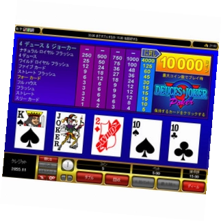 ネットカジノ ポーカー